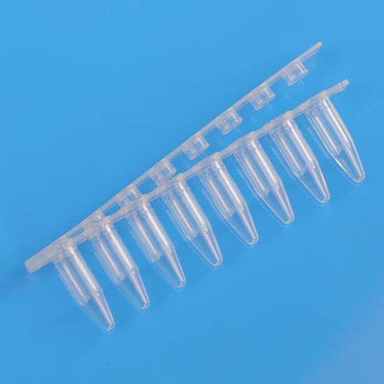 PCR Tubes